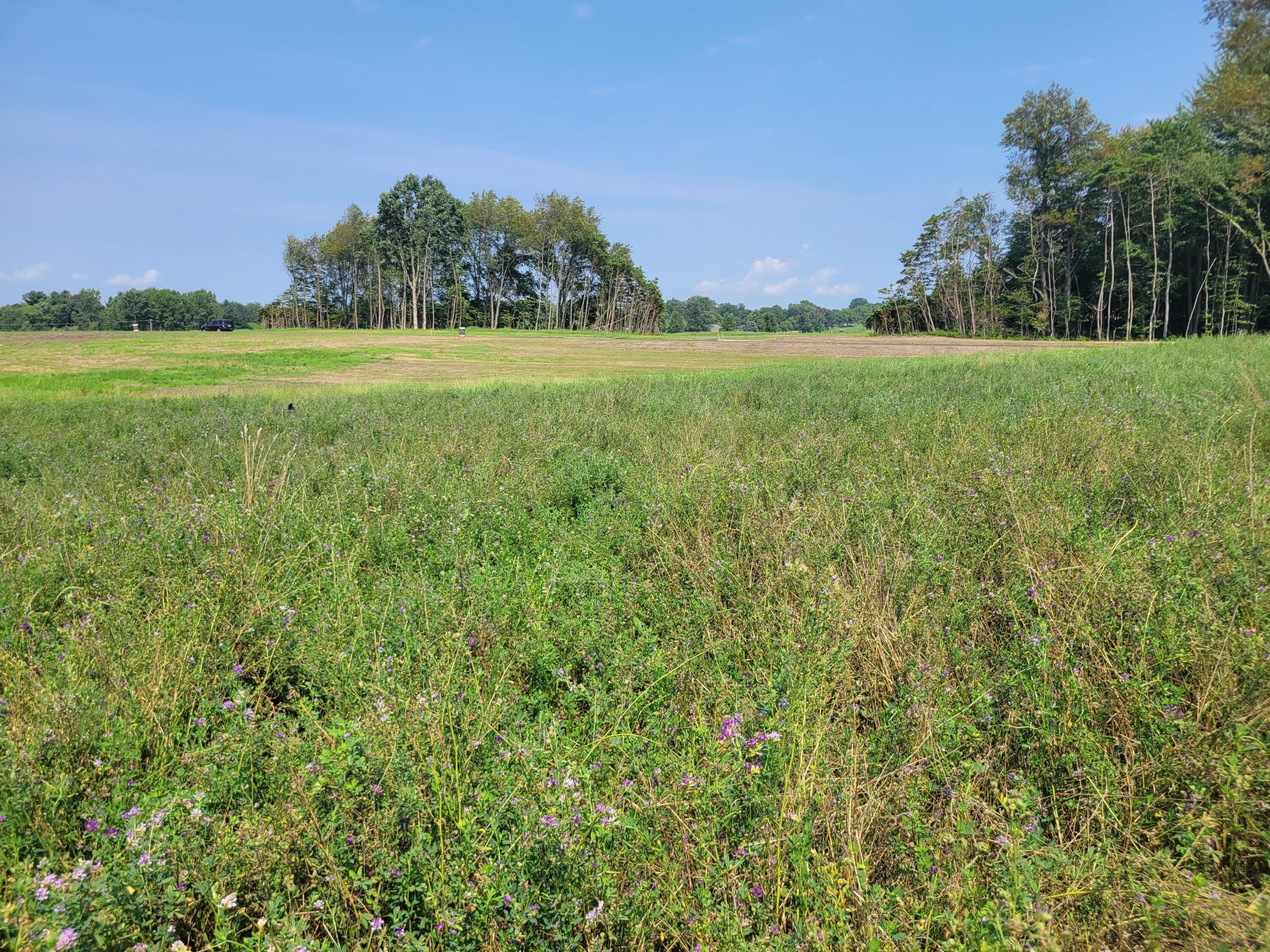Lot 5 Centennial Acres 146th Avenue
