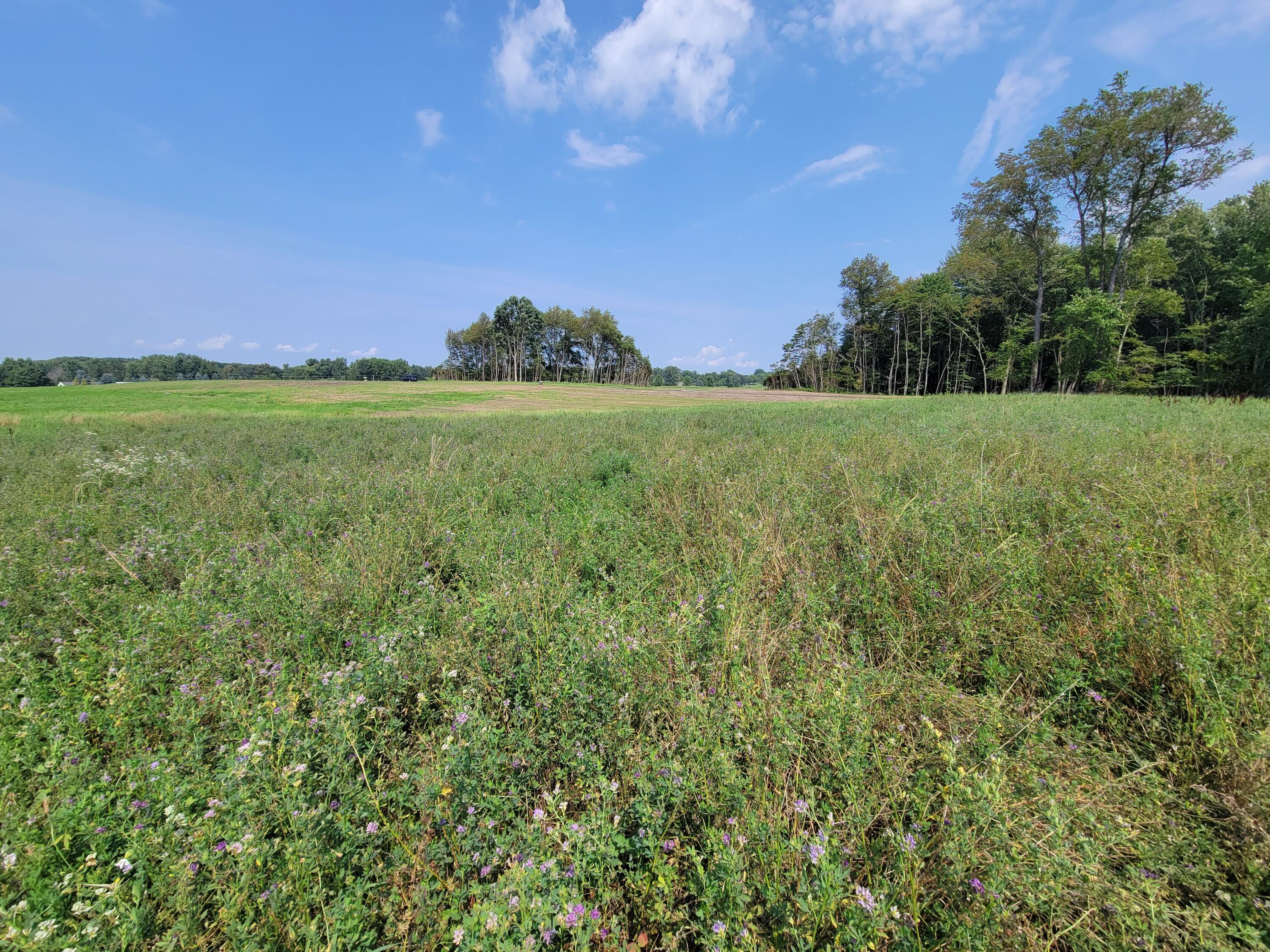 Lot 5 Centennial Acres 146th Avenue
