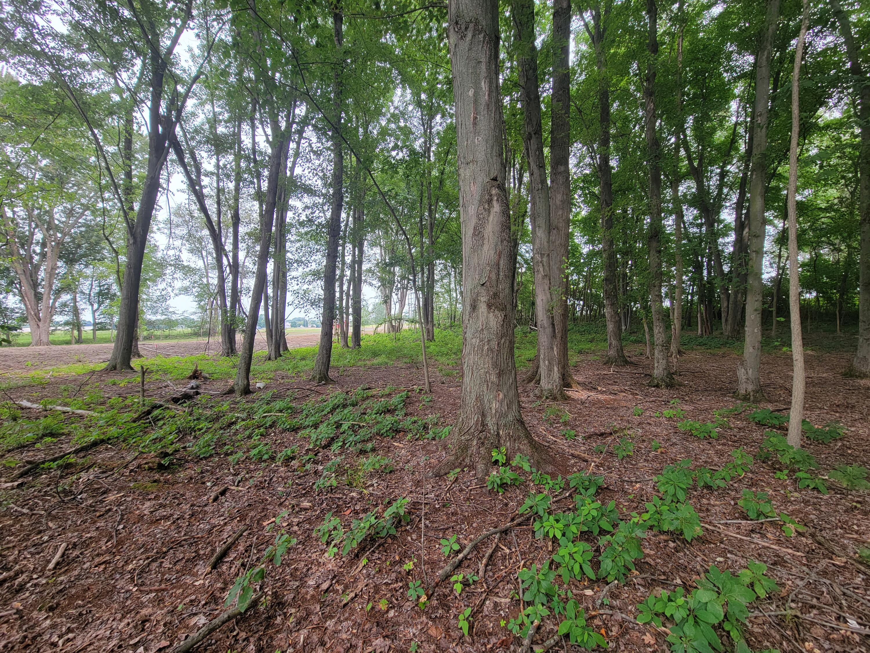 3468 Winding Creek Court
