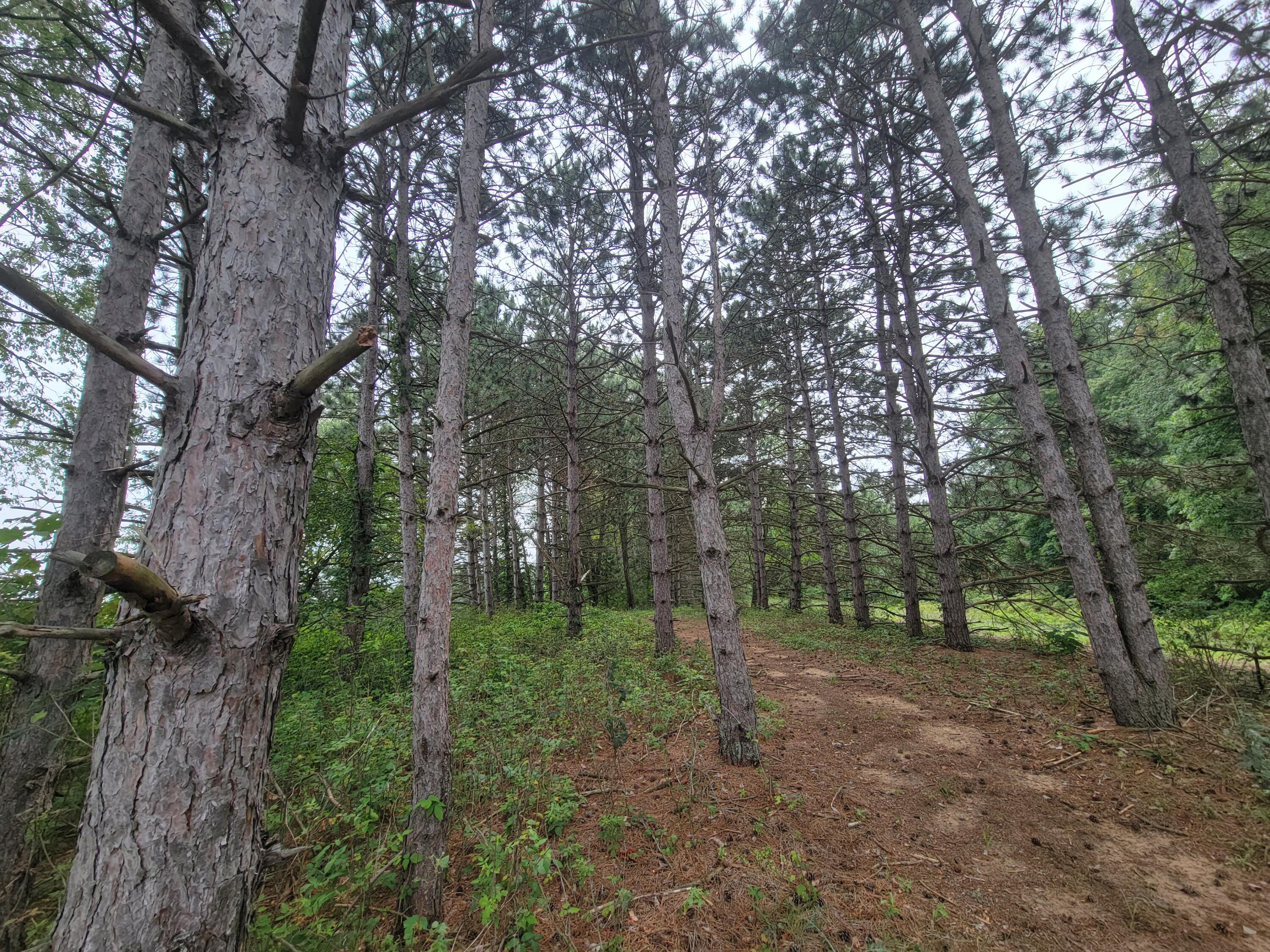 3458 Winding Creek Court