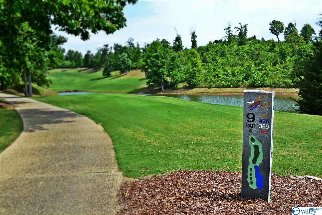 416 Whistling Straits Way