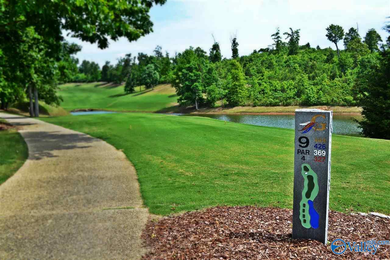 309 Whistling Straits Way