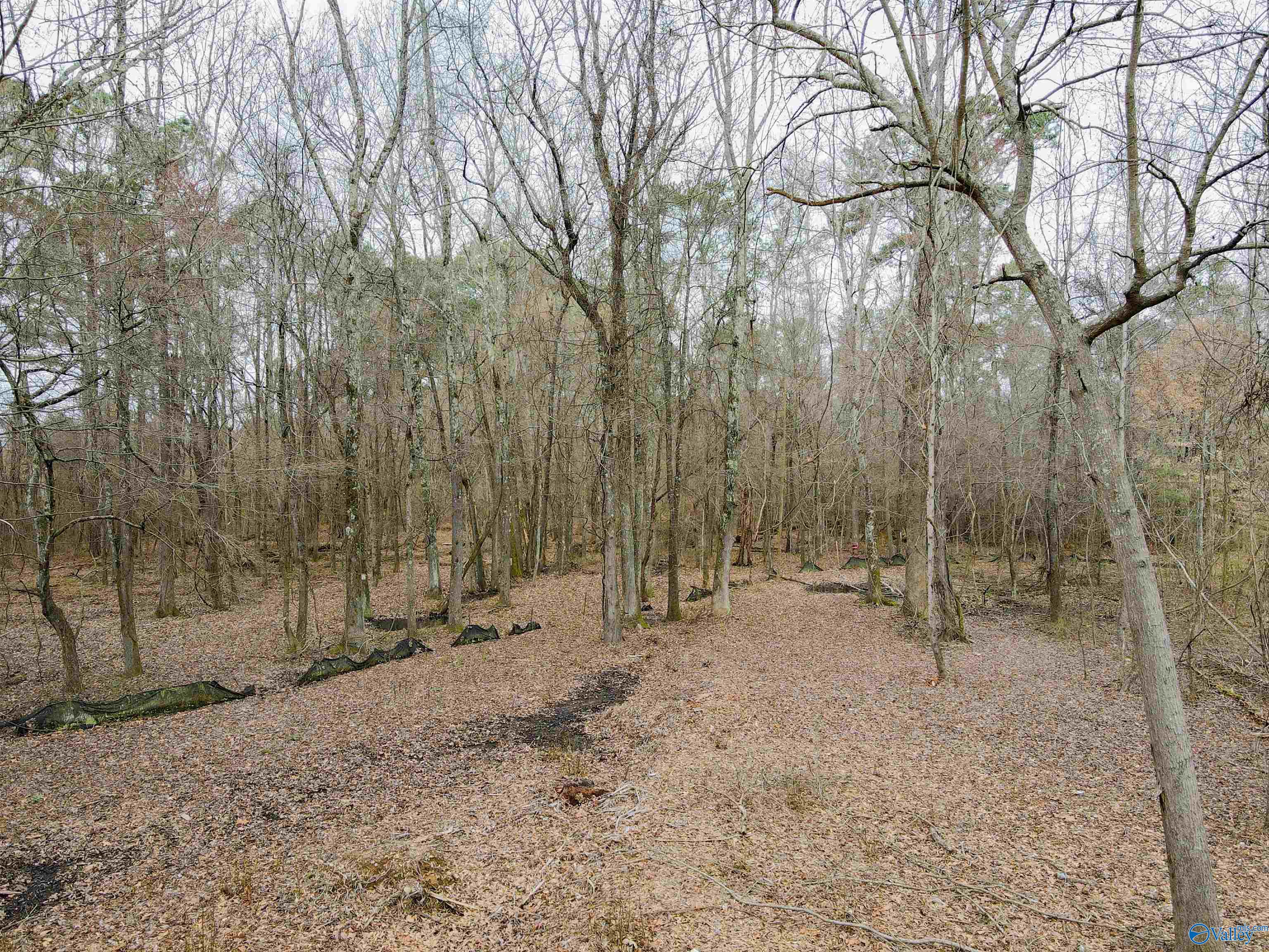 Lot 11 Pruett Circle