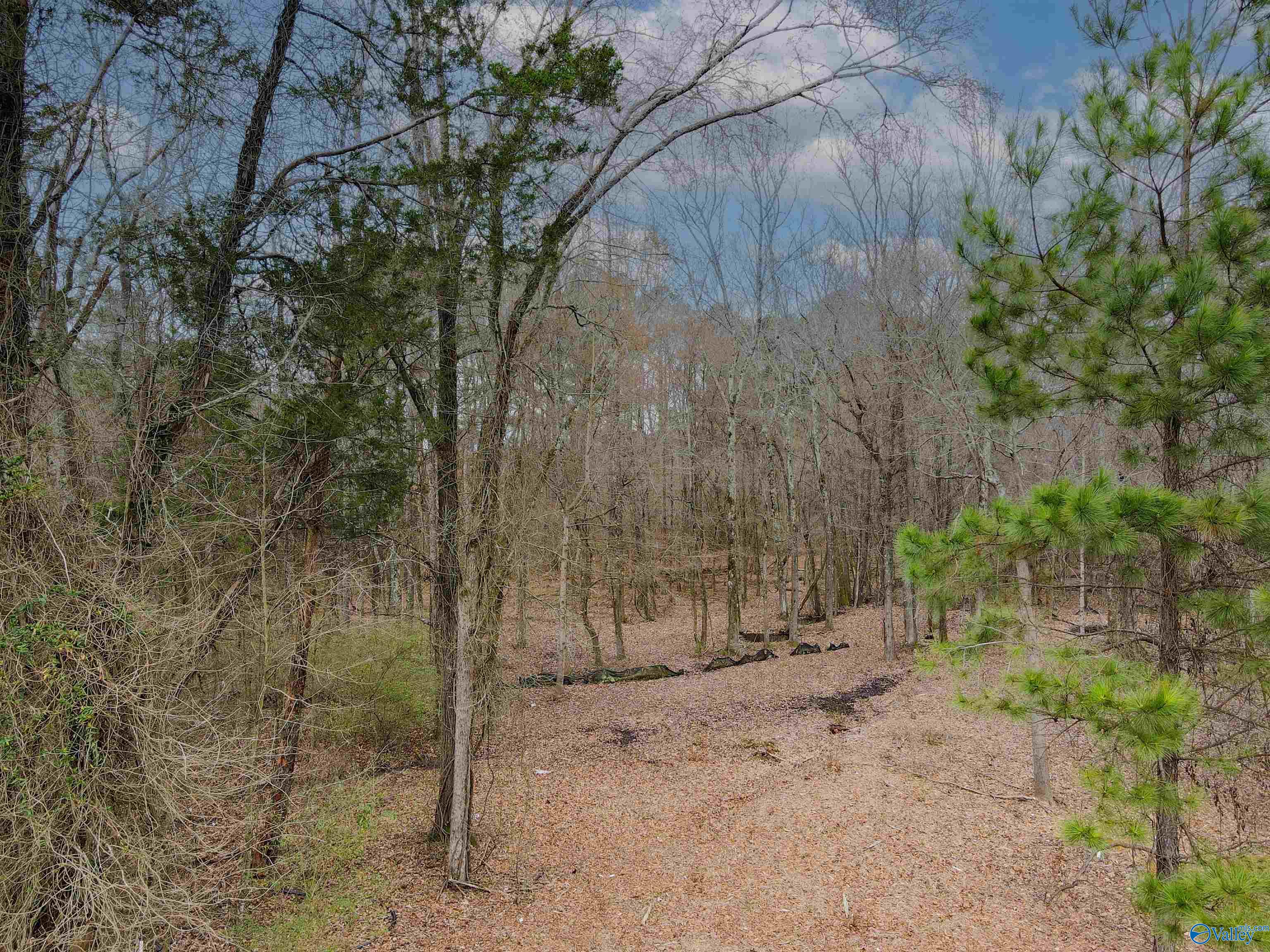 Lot 11 Pruett Circle