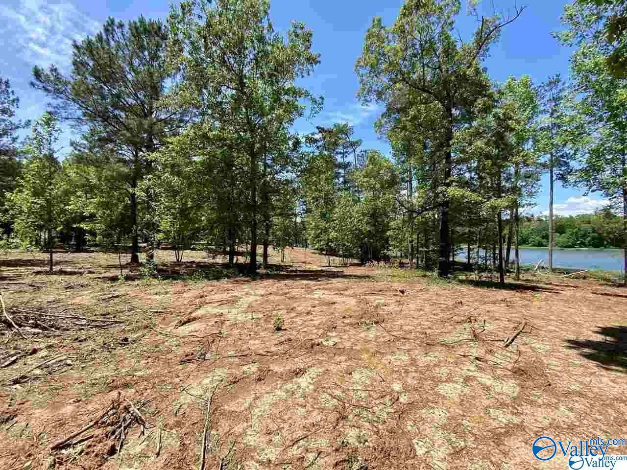 Lot 27 Ski Cove Drive