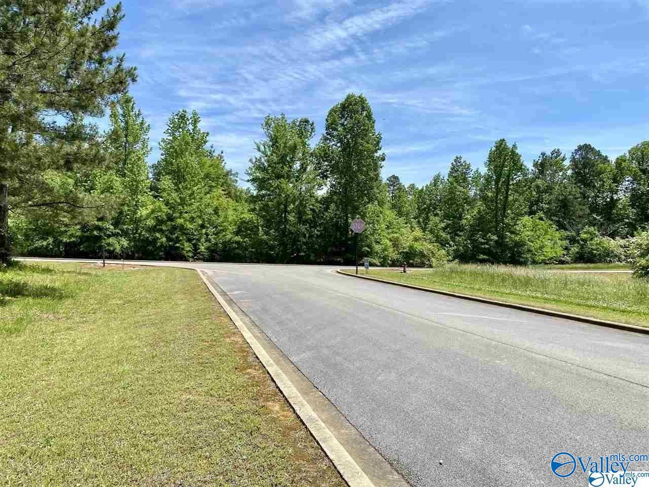 Lot 27 Ski Cove Drive