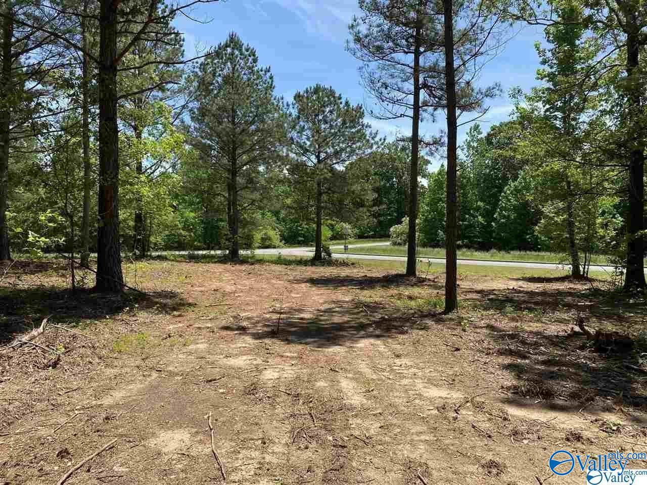 Lot 27 Ski Cove Drive