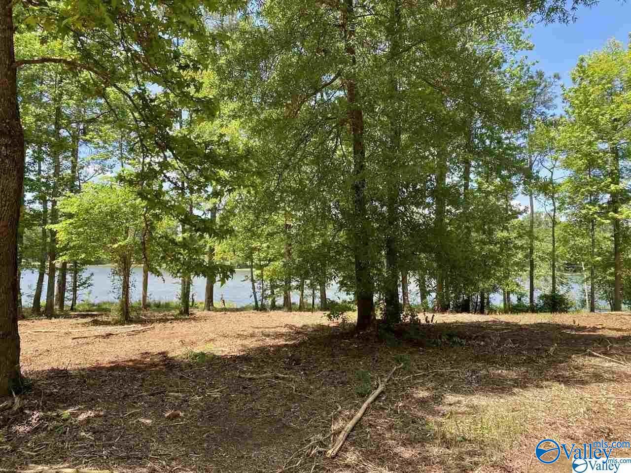 Lot 27 Ski Cove Drive
