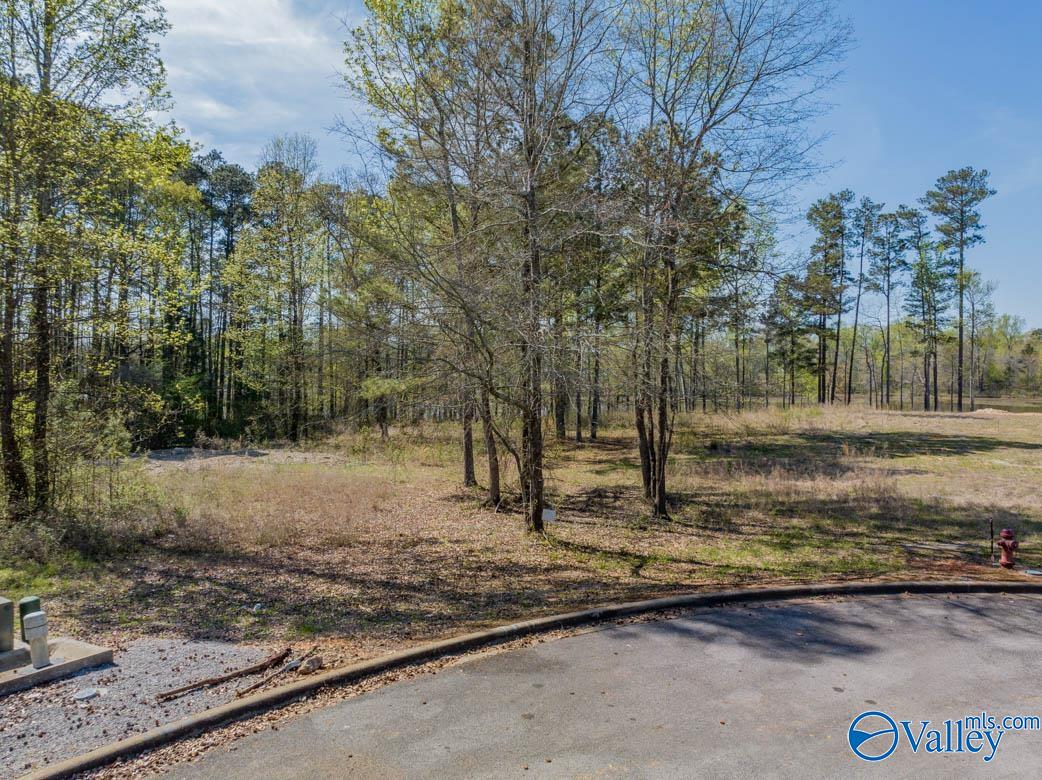Lot 27 Ski Cove Drive