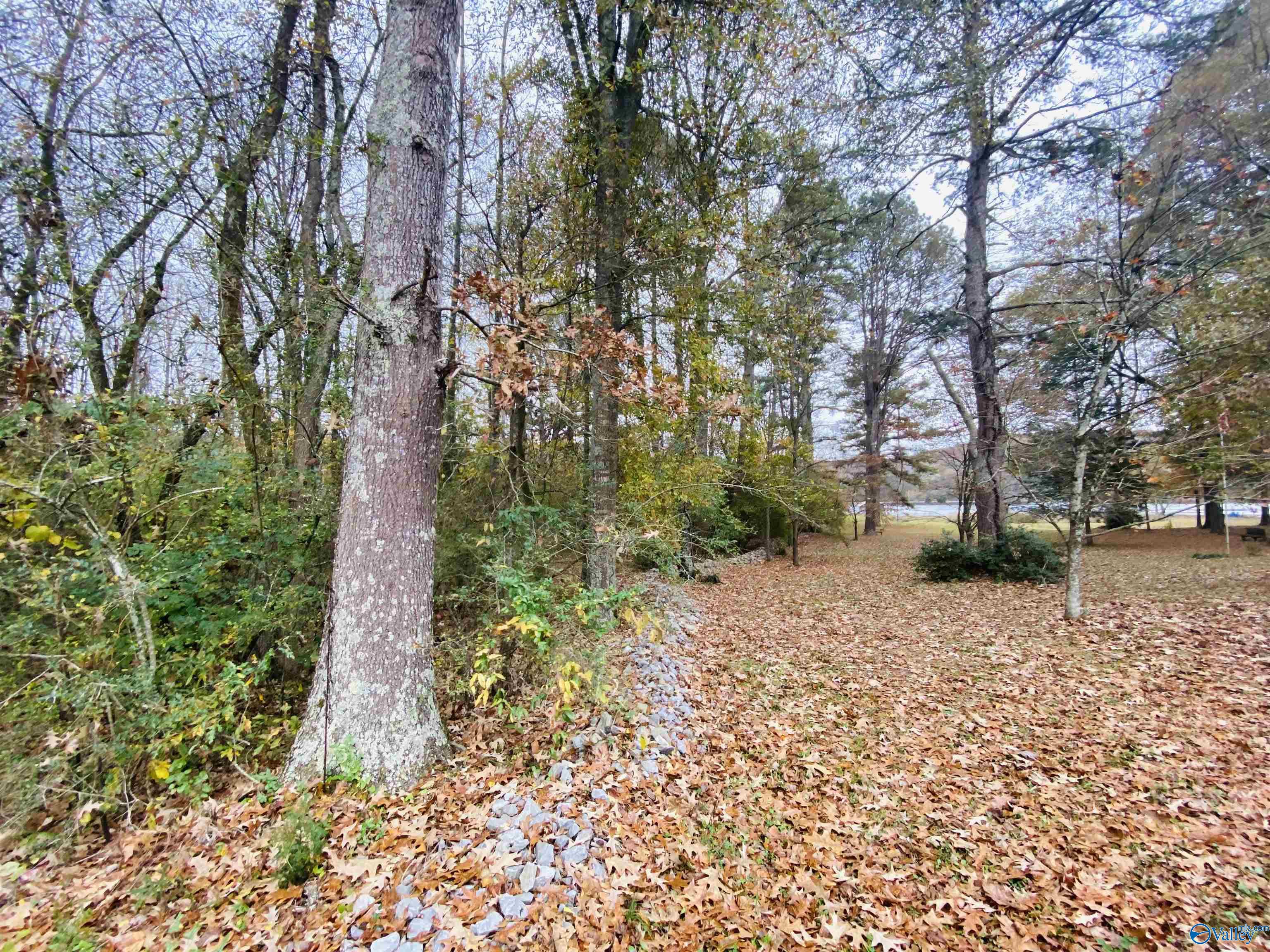Lot 4 White Elephant Road