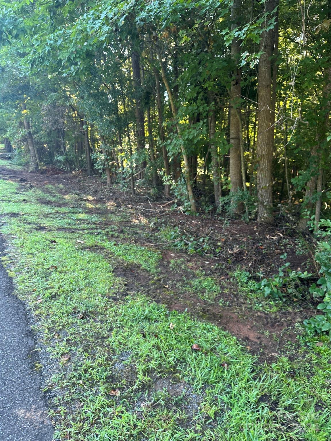 118 Brackenberry Circle Unit: 19