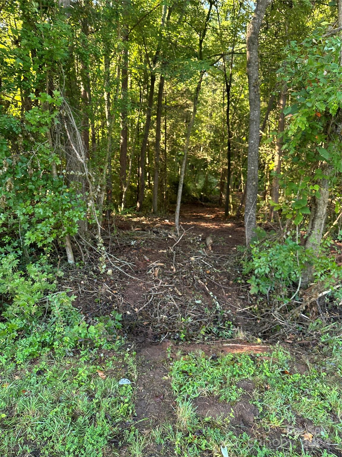 118 Brackenberry Circle Unit: 19