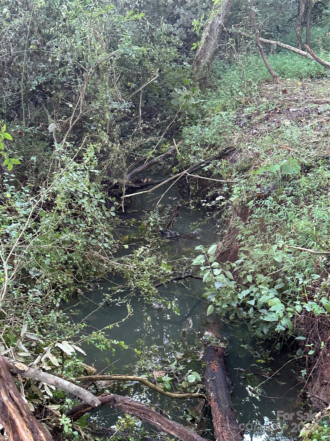 118 Brackenberry Circle Unit: 19