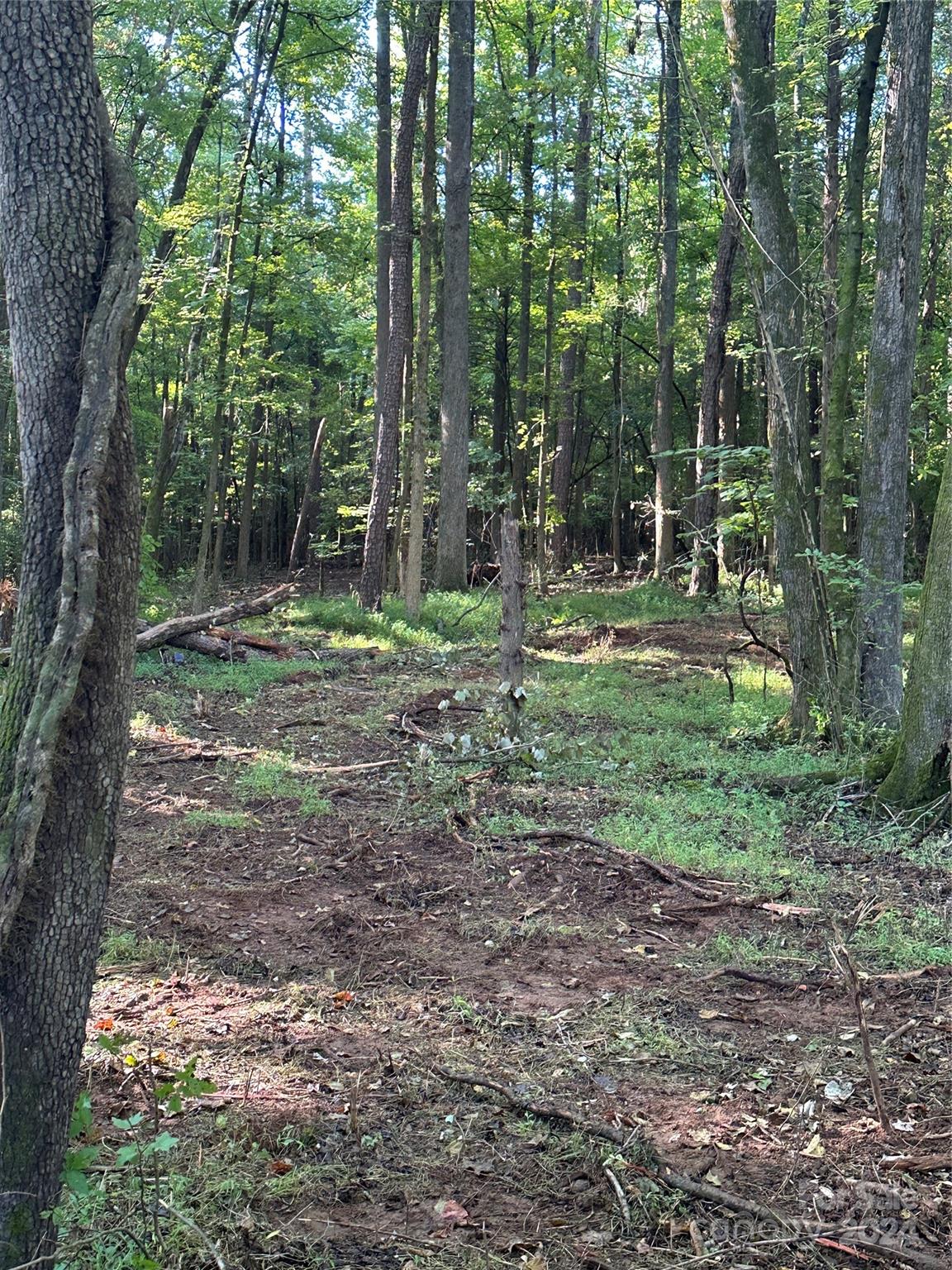 118 Brackenberry Circle Unit: 19