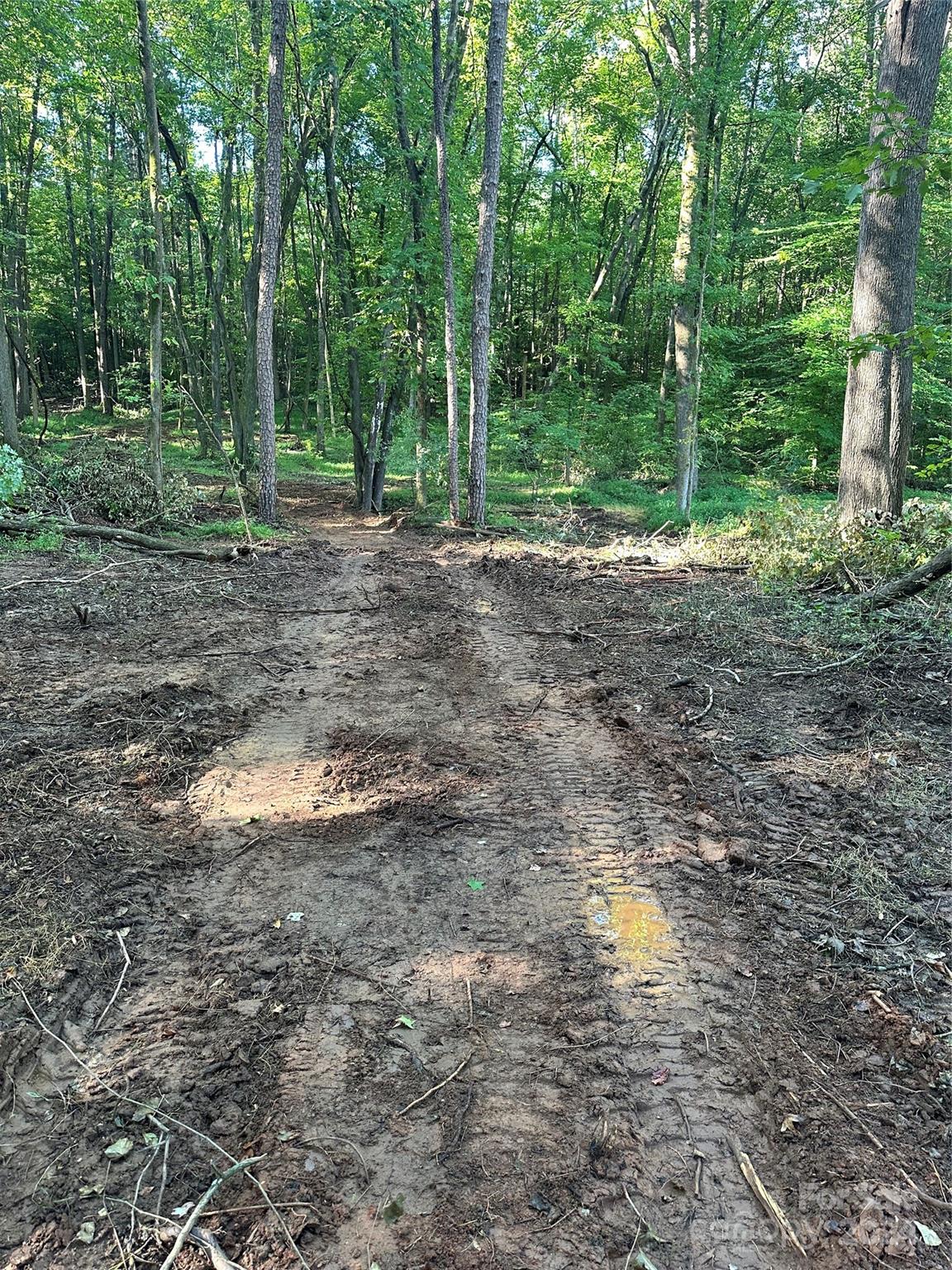 118 Brackenberry Circle Unit: 19