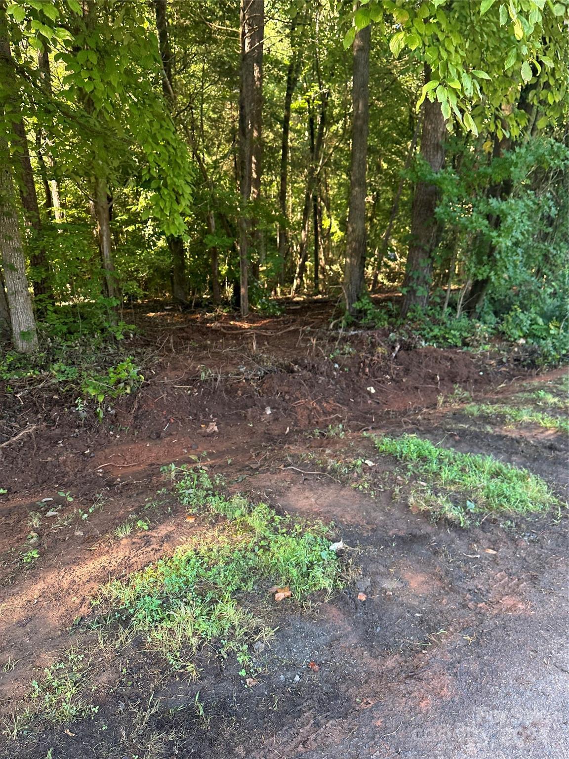 118 Brackenberry Circle Unit: 19