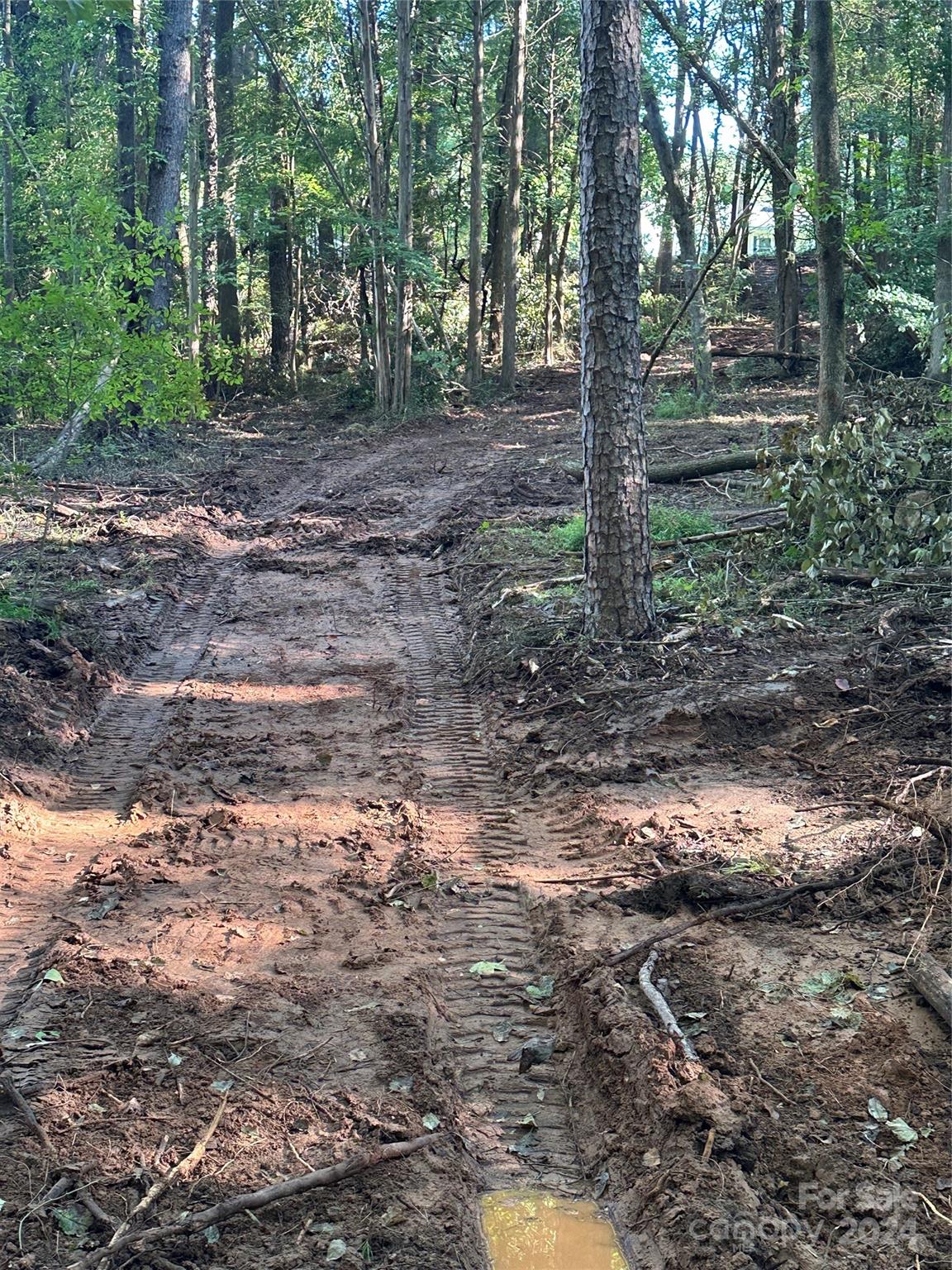 118 Brackenberry Circle Unit: 19