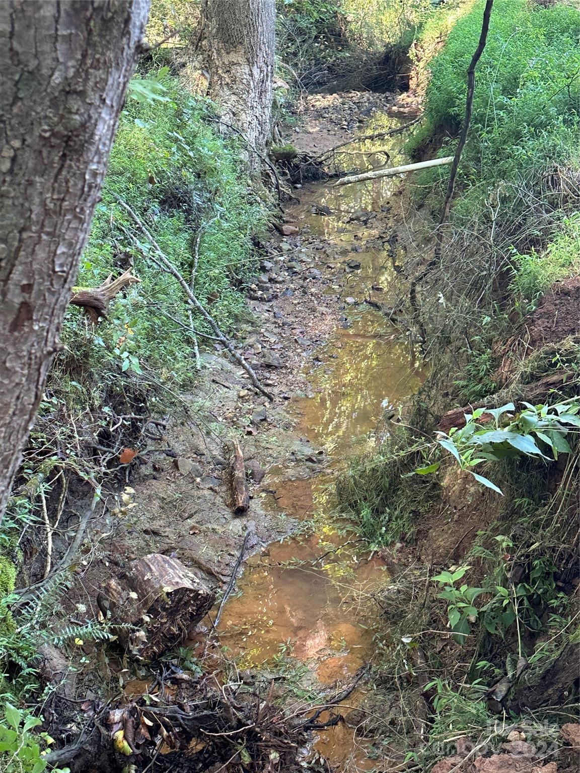 118 Brackenberry Circle Unit: 19