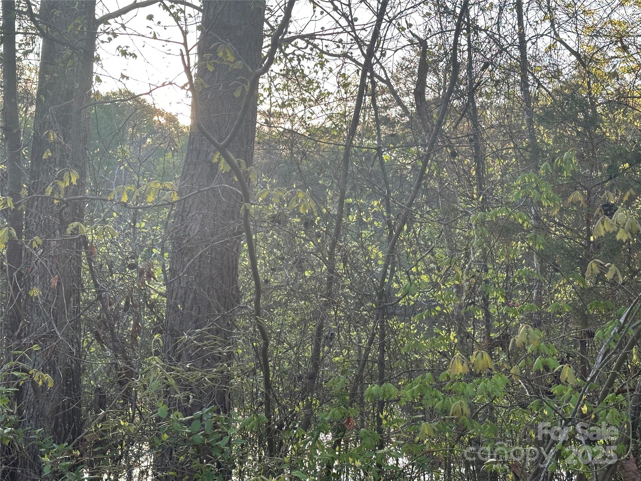 11165 Highway 52 Highway