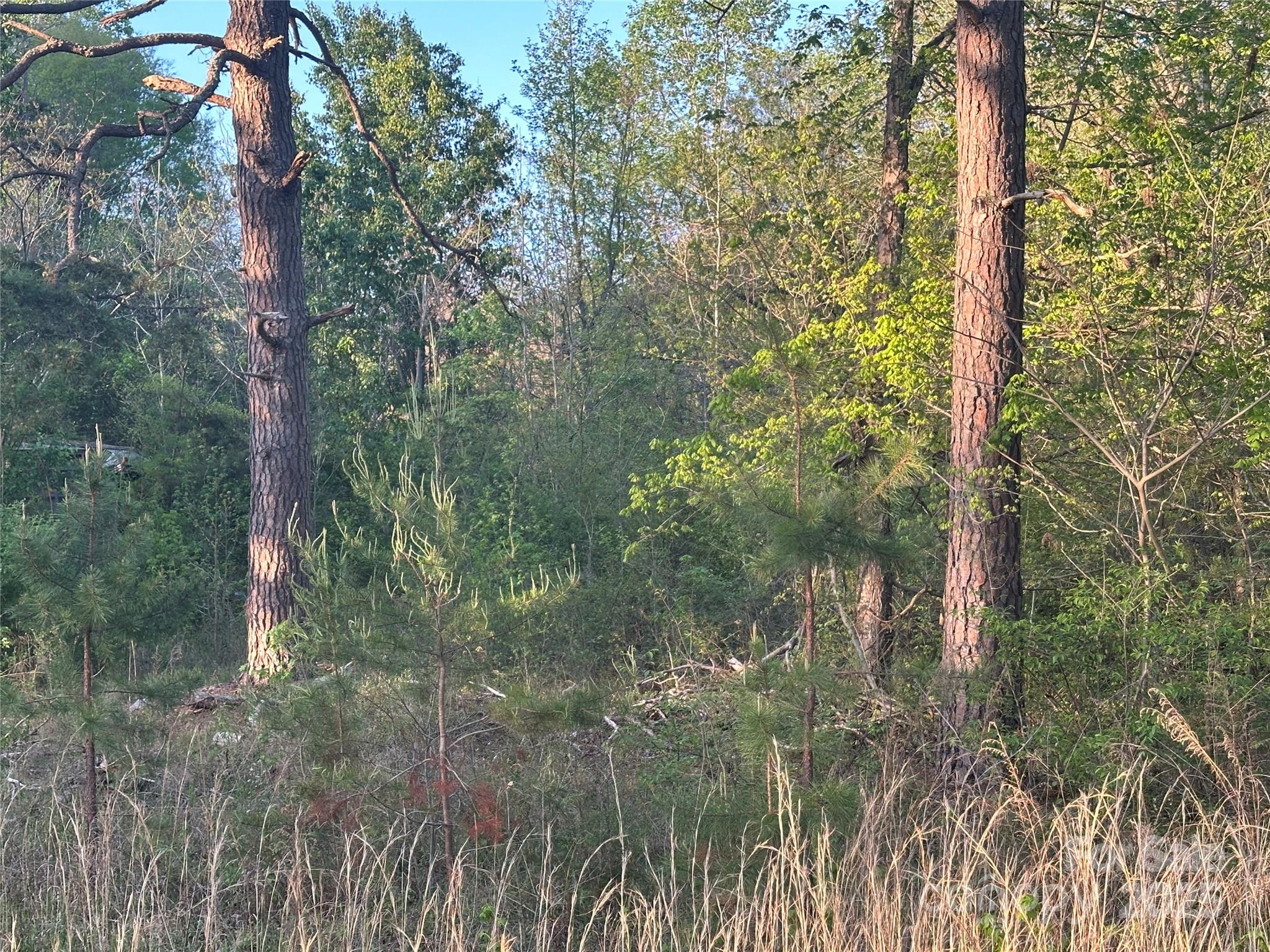 11165 Highway 52 Highway