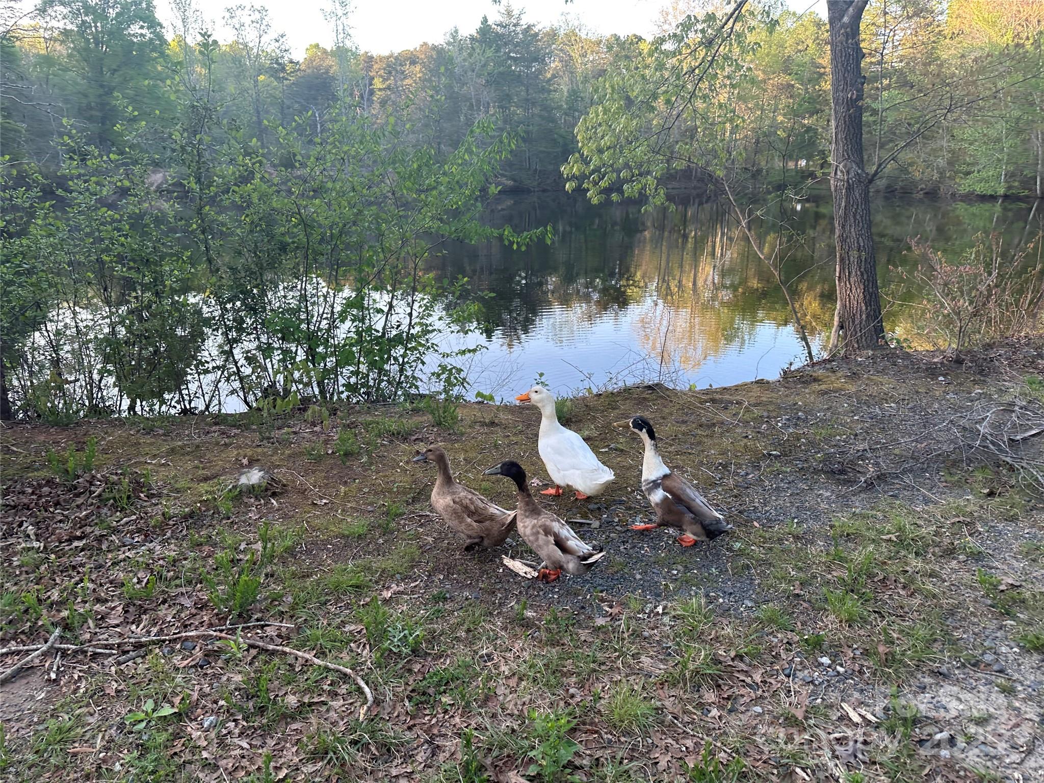 11155 Highway 52 Highway