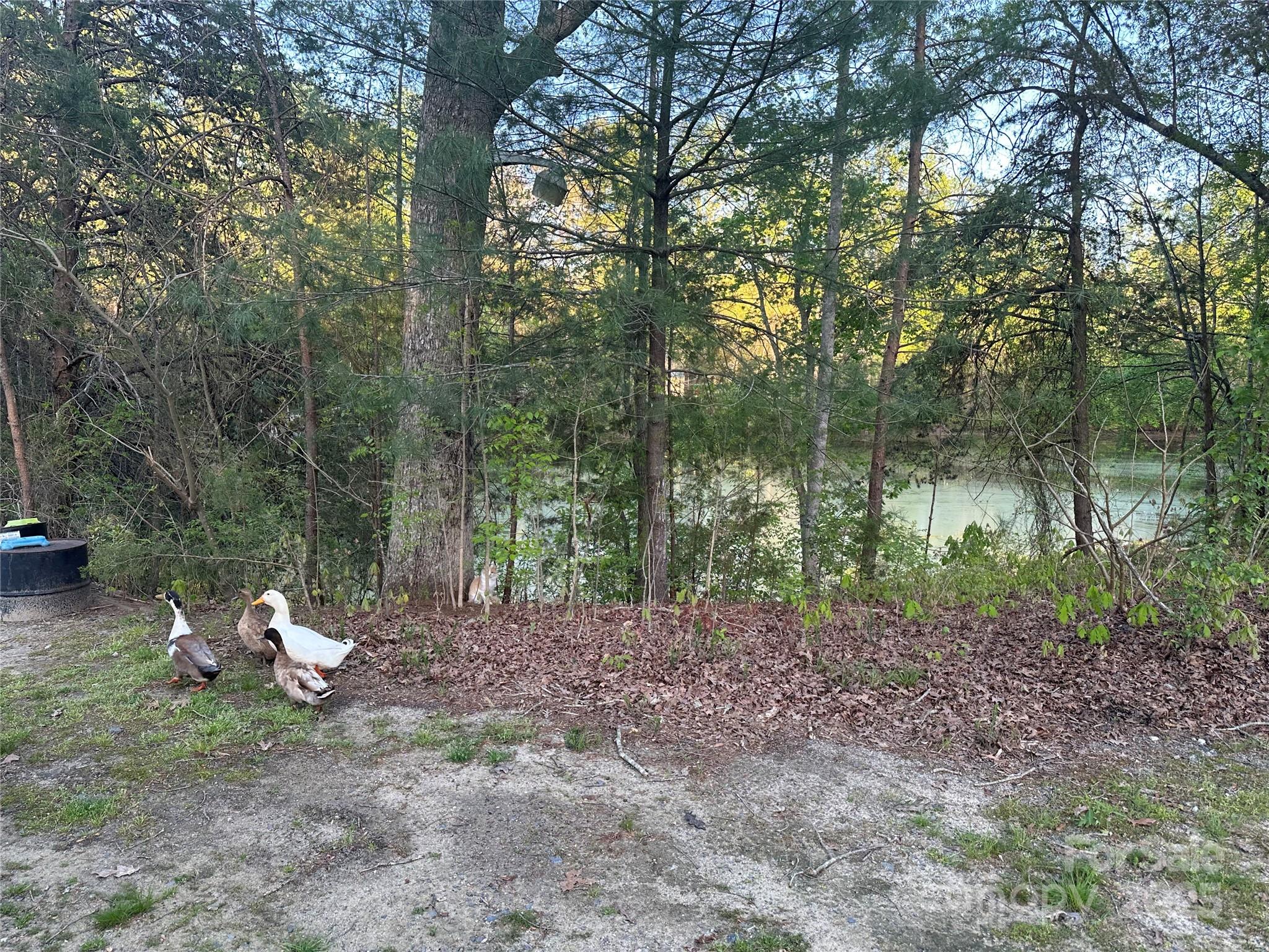 11155 Highway 52 Highway