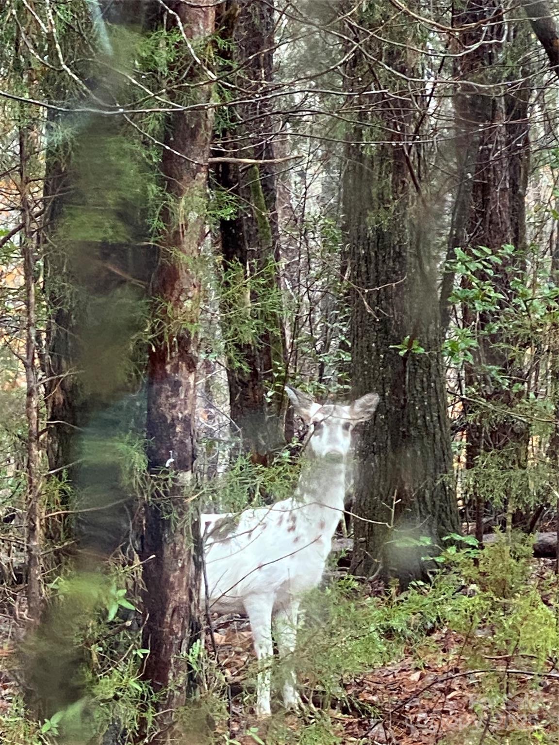 177 Mountain View Lane