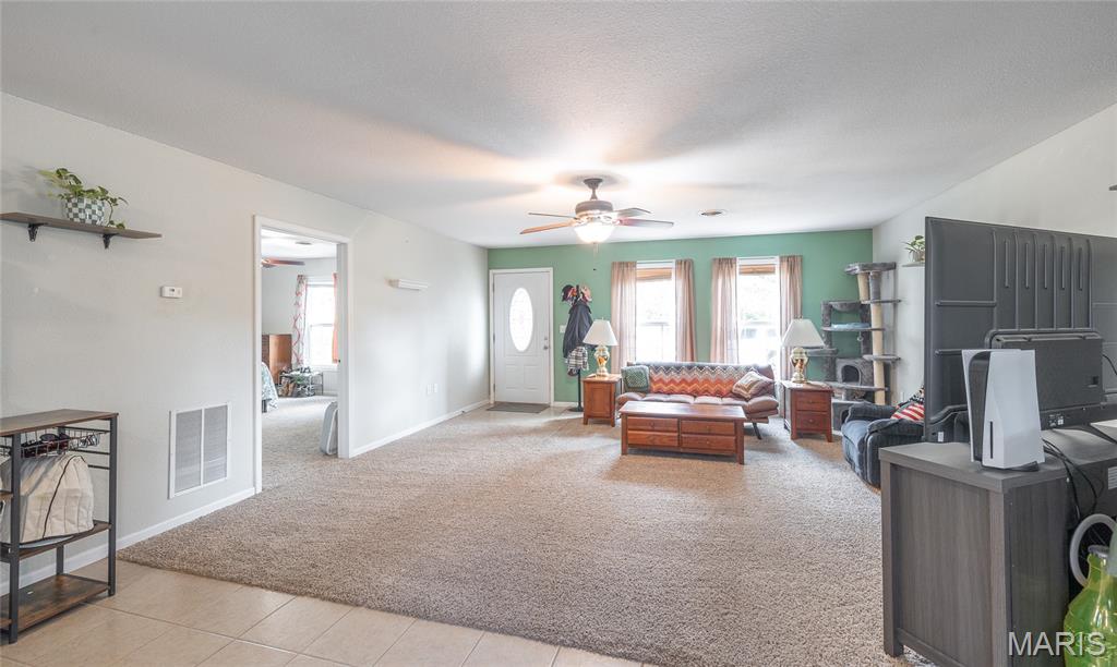 10065 County Road 8170