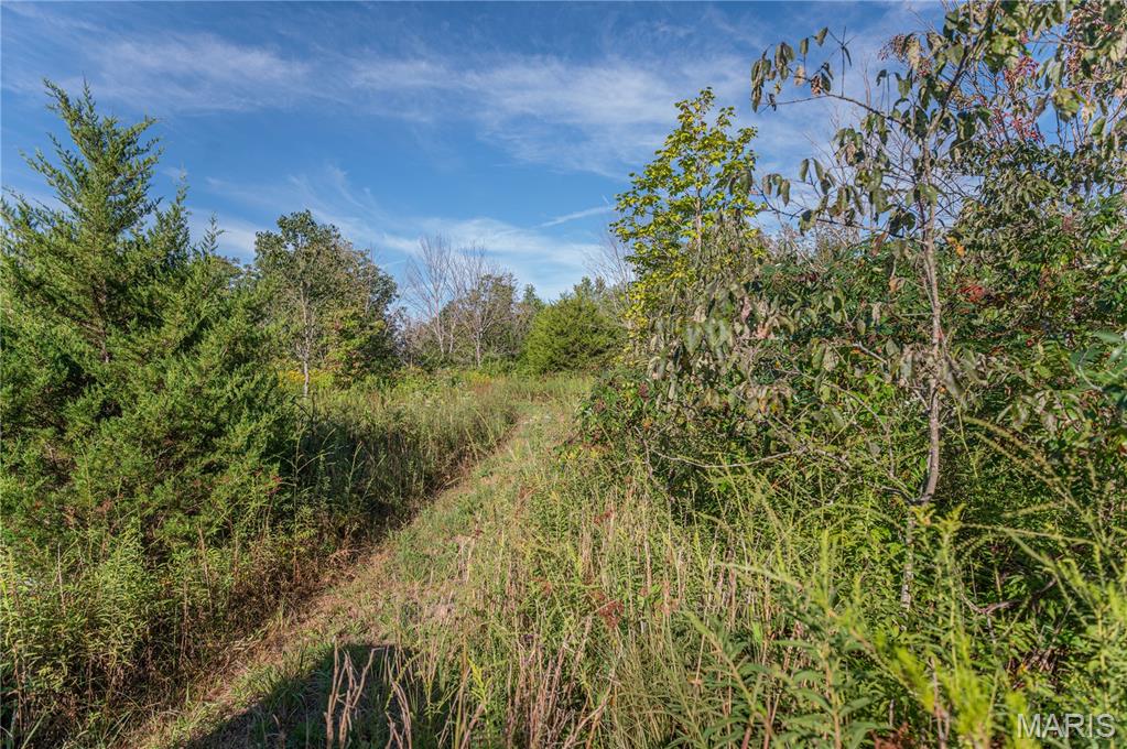 14585 State Route B