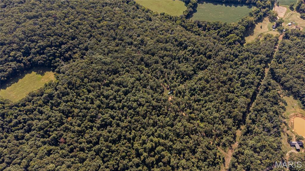 10900 County Road 3600