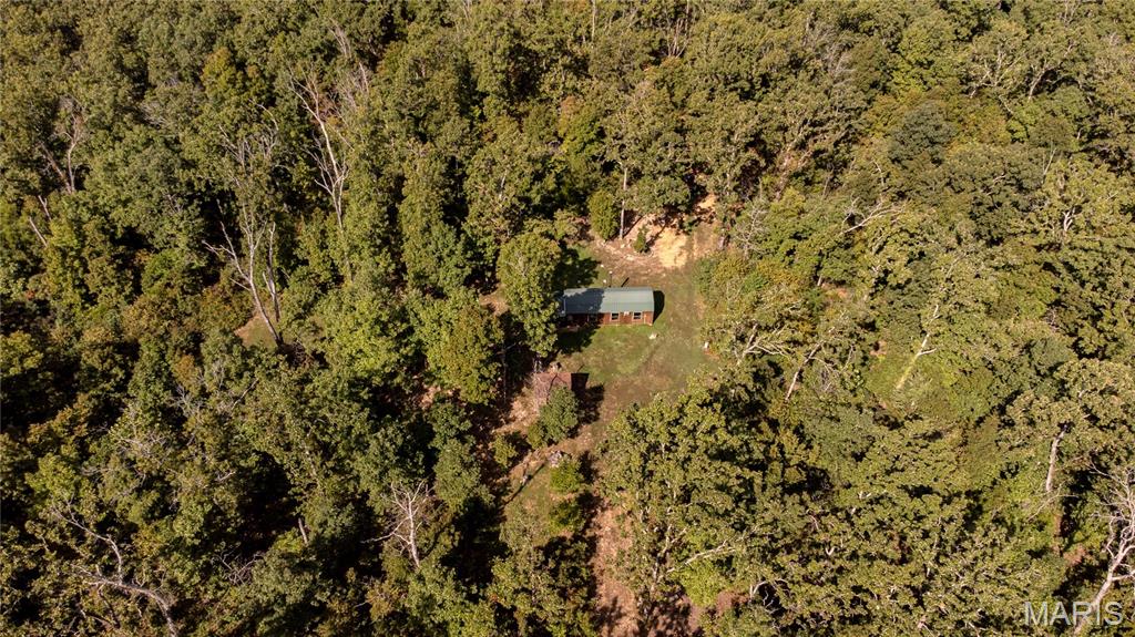 10900 County Road 3600
