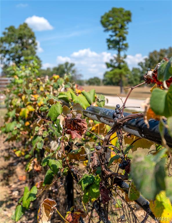 14225 Highway 68 South