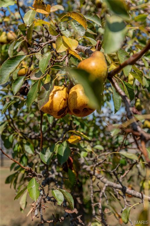 14225 Highway 68 South