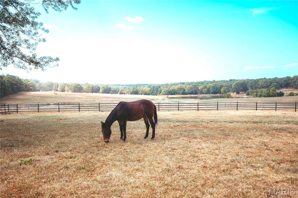 14225 Highway 68 South