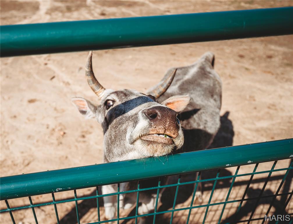 20665 Private Drive 4361