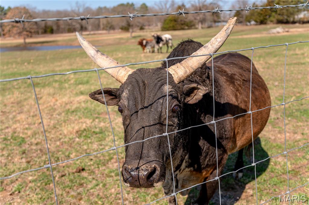 20665 Private Drive 4361