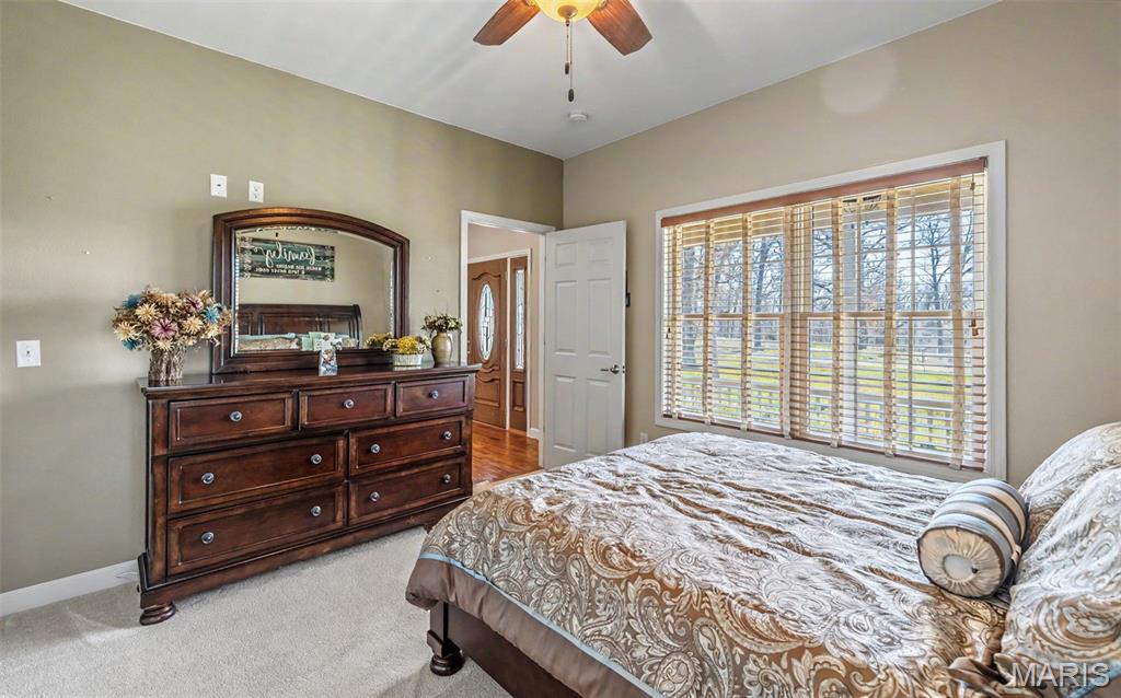 447 County Road 4185