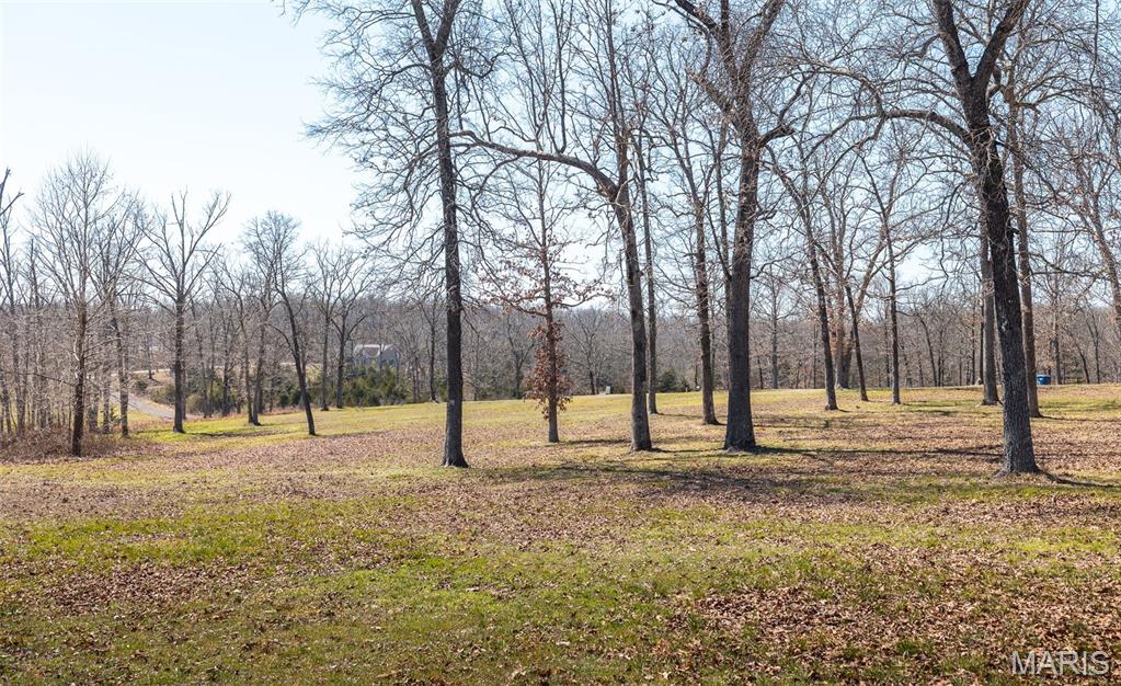 447 County Road 4185