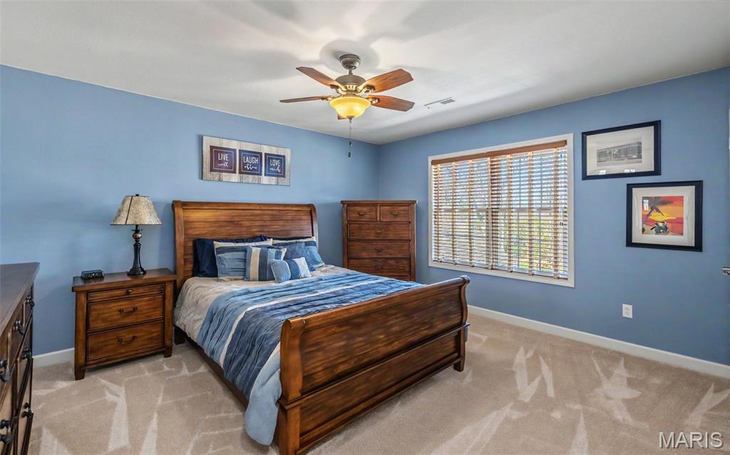 447 County Road 4185