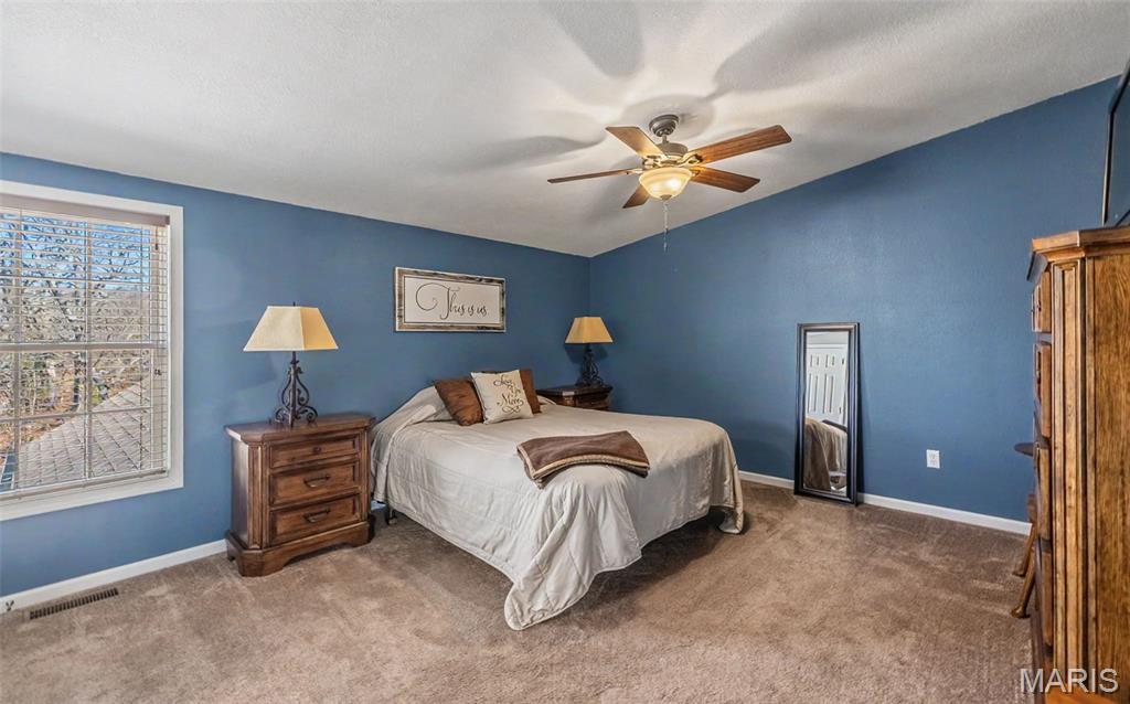 447 County Road 4185