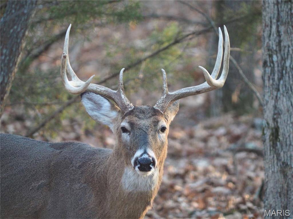 21500 County Road 7670