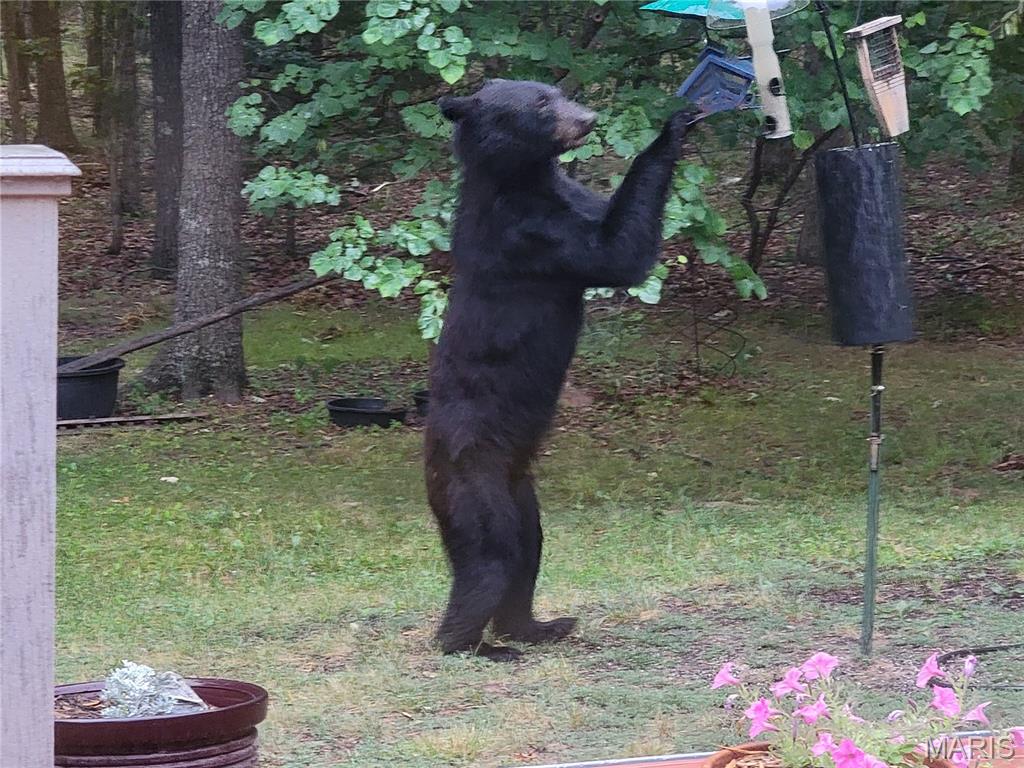 21500 County Road 7670