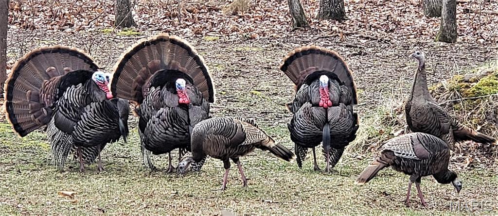 21500 County Road 7670