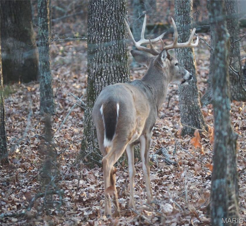 21500 County Road 7670