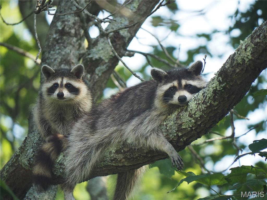 21500 County Road 7670