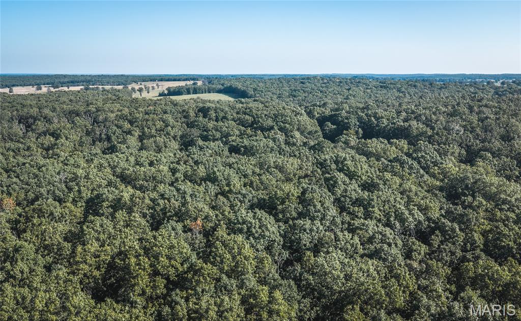 807 County Road 6410