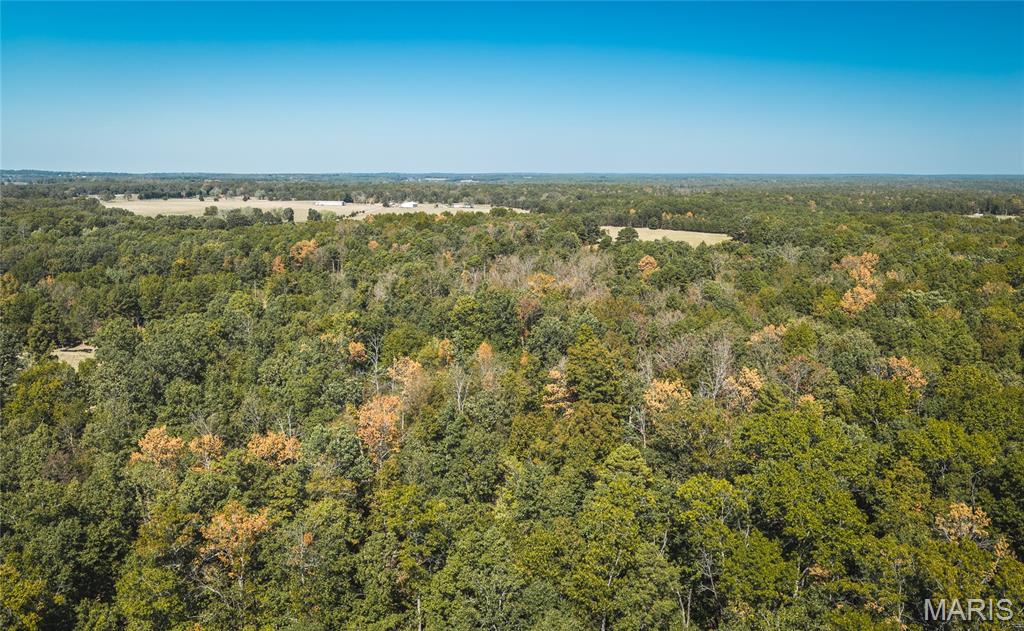 9560 Splitlimb Road