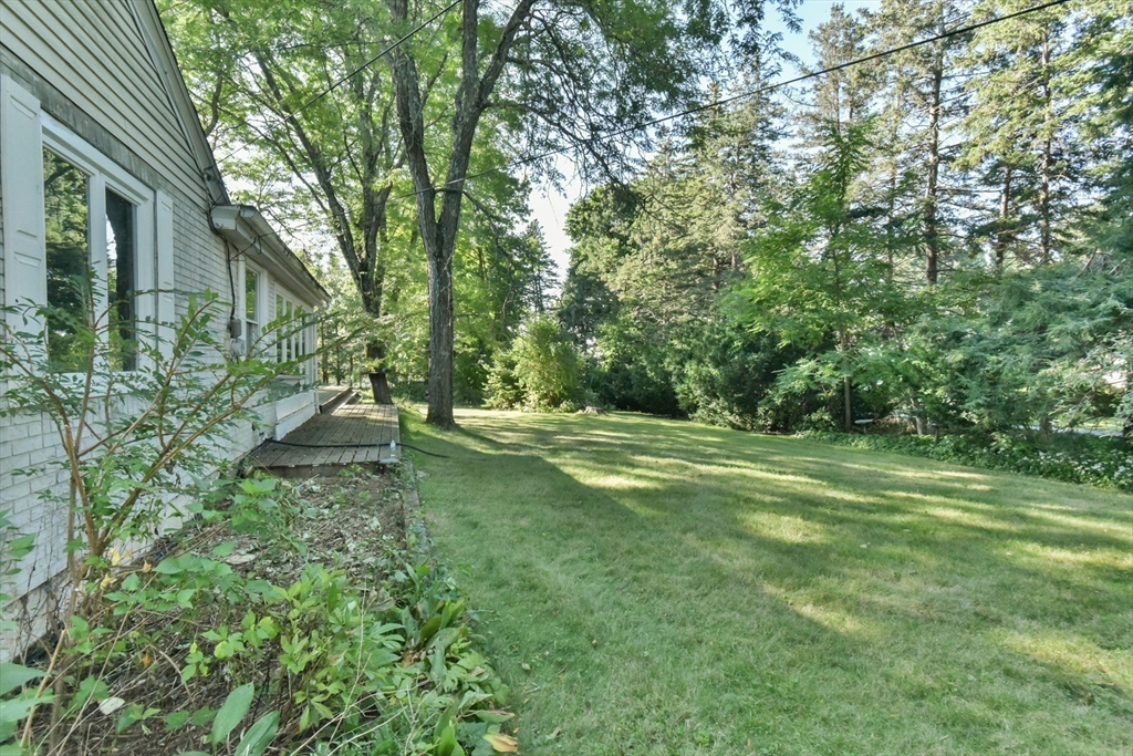 24 Curtis St