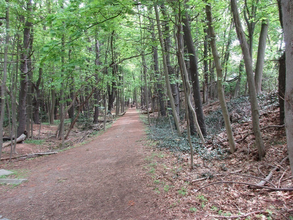 178 Beethoven Ave. Unit: -