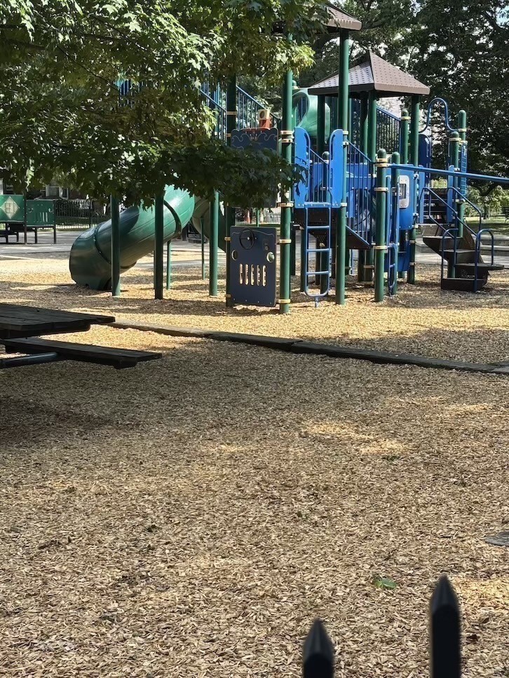Playground with blue and green climbing equipment and slides beneath leafy trees.
